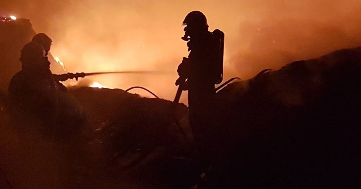 Пожежа у Новій пошті Мукачево 24.08.2018_5 / © Управління ДСНС України у Закарпатській області