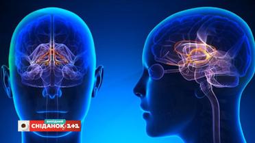 Як гормон дофамін впливає на прийняття рішень