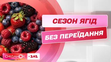 Сезон клубники и шелковицы: какая дневная норма потребления ягод – диетолог Елена Зинченко