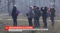 В мире набирает популярность birdwatching - наука наблюдения за птицами