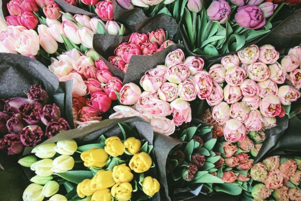 День ангела 31 березня — душевні привітання в прозі / © Unsplash
