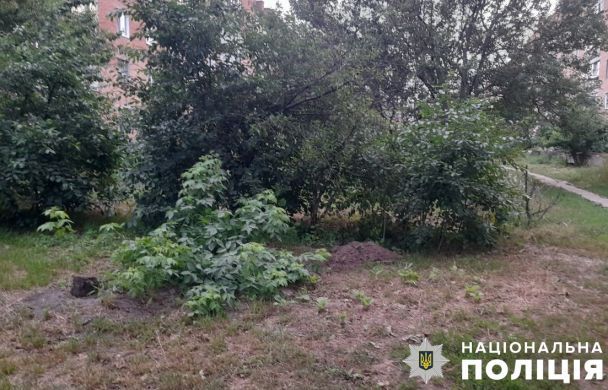 Мужчина хотел закопать свою собаку недалеко от многоквартирного дома / Фото: Полиция Полтавской области