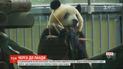 В Токийском зоопарке сотни посетителей пришли посмотреть на панду