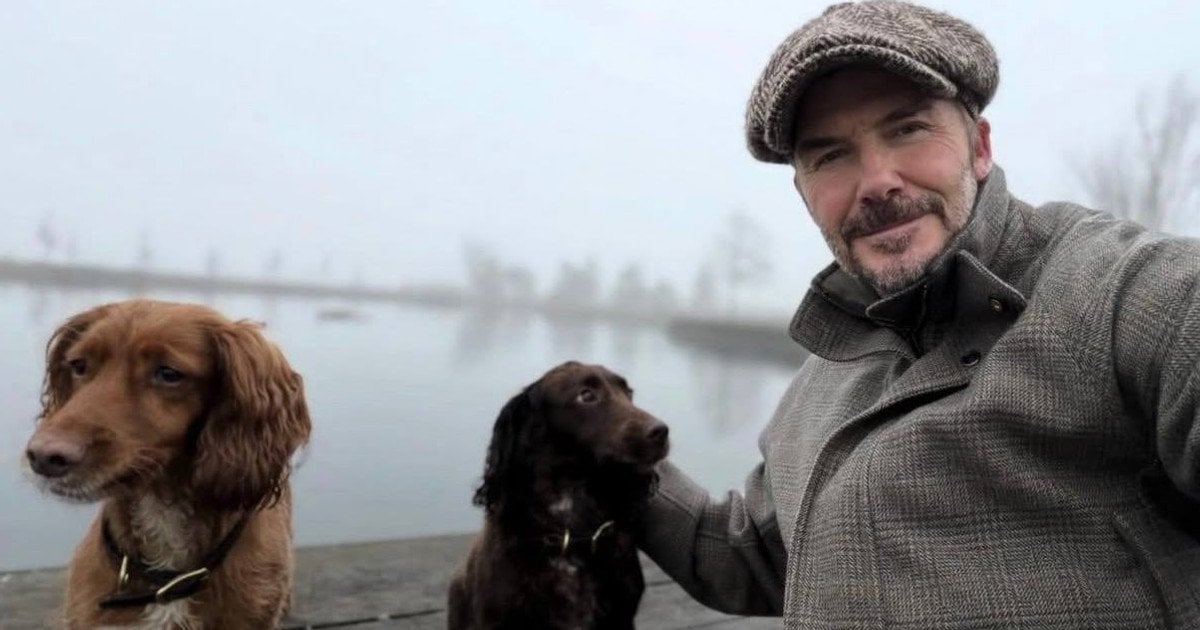 Дэвид Бекхэм