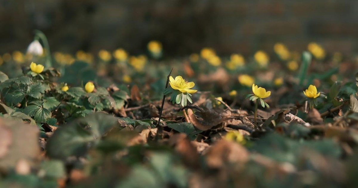 Який сьогодні, 13 березня, день ангела