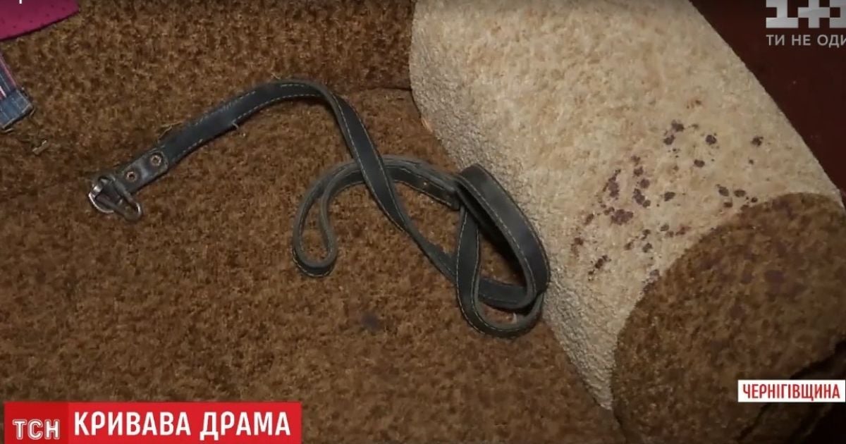 Психічнохвора жінка з Чернігівщини жорстоко вбила 4-річну доньку та собаку
