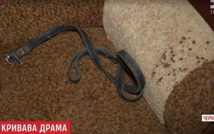 Душевнобольная женщина с Черниговщины жестоко убила 4-летнюю дочь и собаку