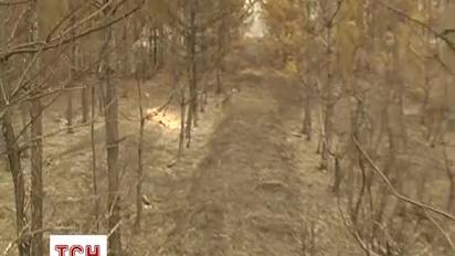 На Киевщине горят сразу 16 торфяников
