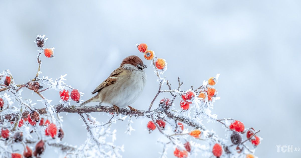 Гороскоп на 29 ноября для всех знаков Зодиака: день, когда