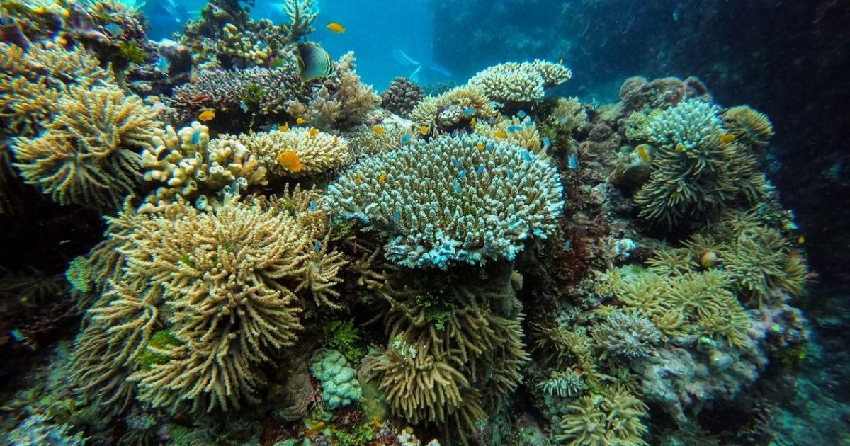 Визначено туристичні напрямки, які під загрозою зникнення