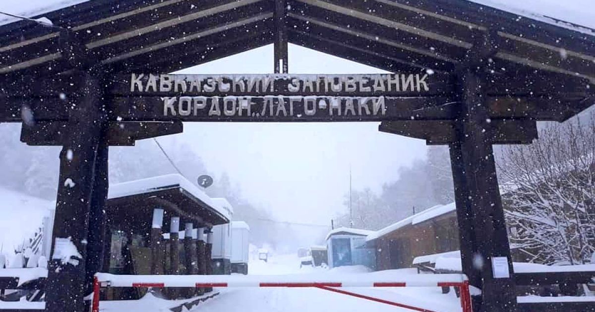 сніг у Росії_2 / © Lenta.ru