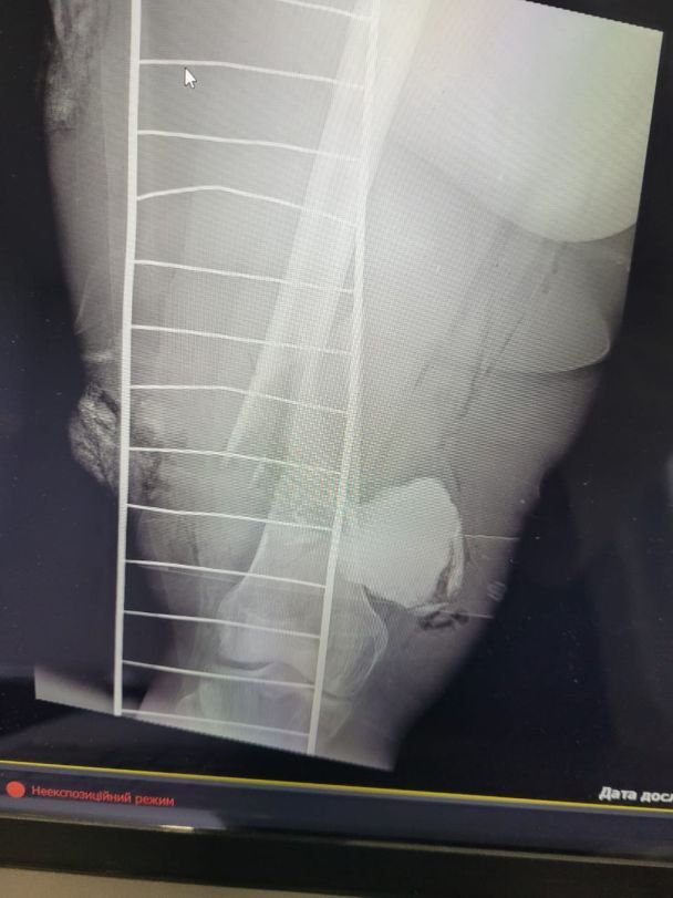  / © Сергій Риженко