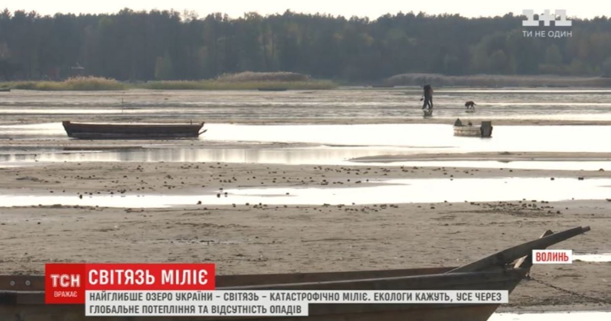 Самое глубокое озеро Украины Свитязь обмелело больше, чем на полметра
