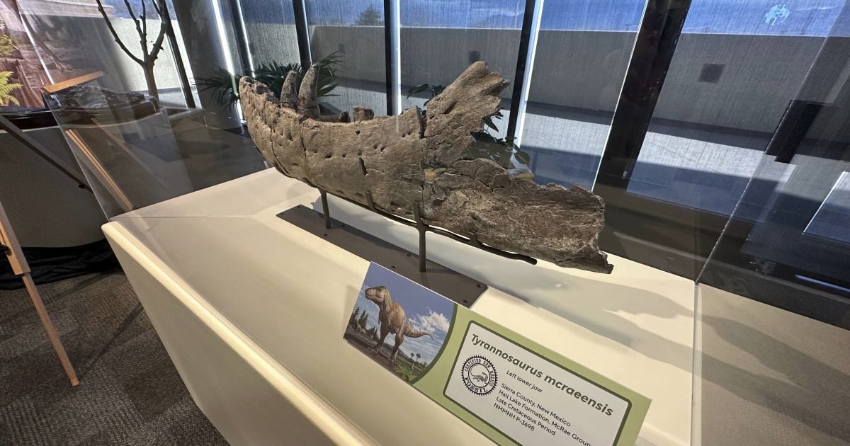 Останки виявленого динозавра