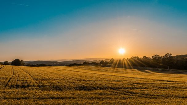 20 июня в Украине и мире празднуют День летнего солнцестояния / © Unsplash