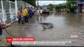 У Мексиці на вулиці затопленого повінню селища вода винесла крокодила