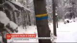 Русский испугался отметок на деревьях, спутав их с украинскими флагами