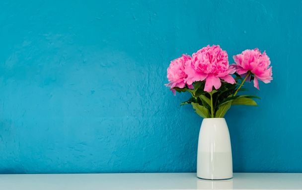 День ангела 8 мая – душевные поздравления в прозе / © Unsplash