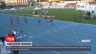 Безпритульний кіт ледь не зірвав стометрівку на чемпіонаті з бігу