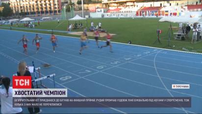 Безпритульний кіт ледь не зірвав стометрівку на чемпіонаті з бігу