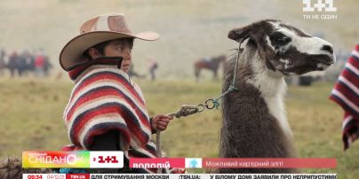 Кто такие эквадорские ковбои и как проходят гонки на ламах – Смотрите "Мир наизнанку"