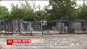 В Киеве возле приюта для животных нашли тела мертвых собак
