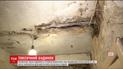 Токсичні грибки не дають жити мешканцям одразу трьох багатоповерхівок у столиці
