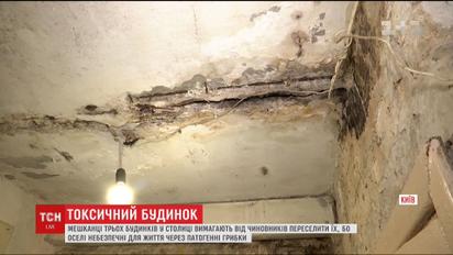 Токсичные грибки не дают жить обитателям сразу трех многоэтажек в столице