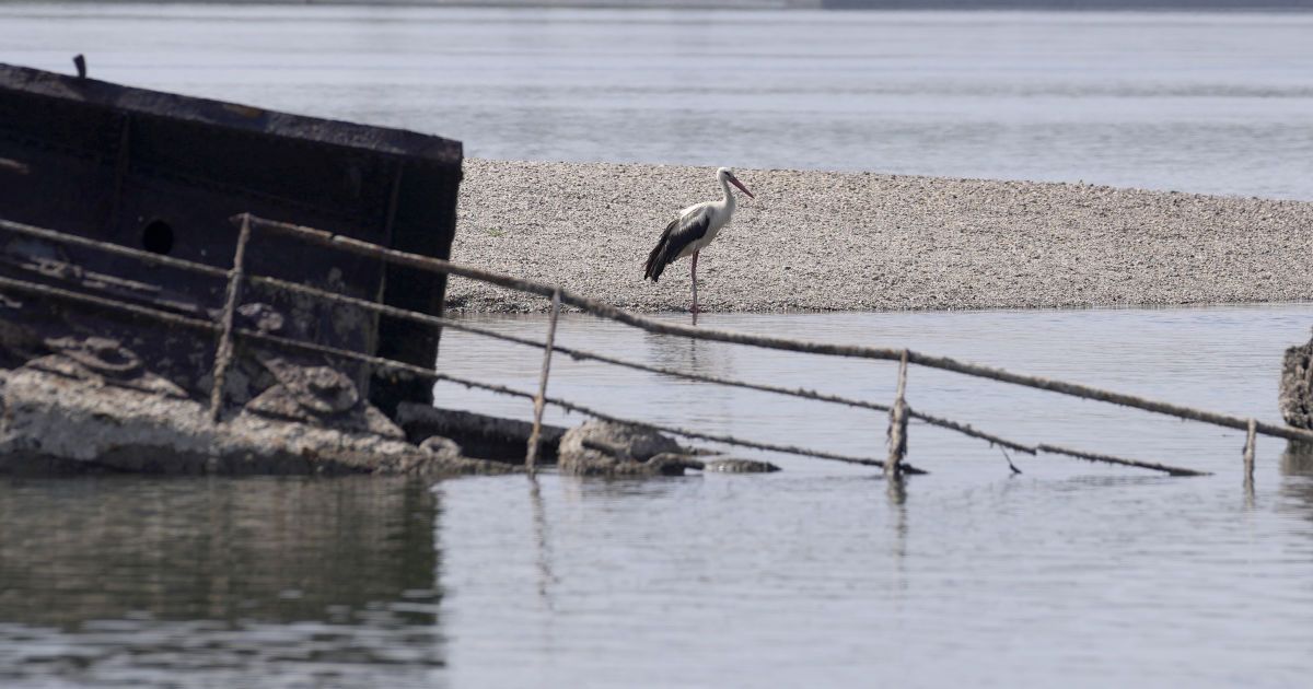 Посуха у Європі / © Associated Press