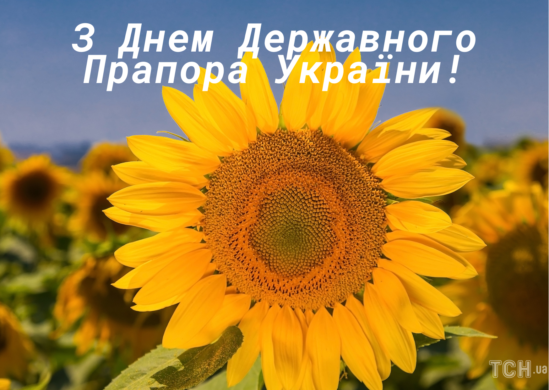 Картинки з Днем Державного Прапора України / © ТСН.ua