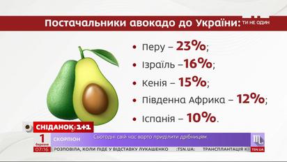 Импорт авокадо вырос в 8 раз – Экономические новости