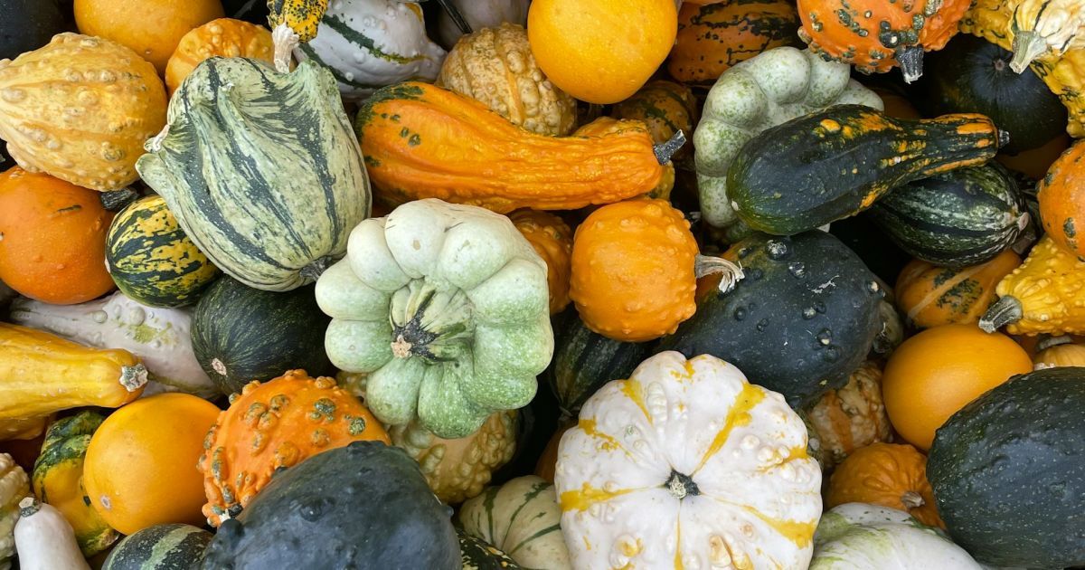 Лунный посевной календарь на октябрь 2024