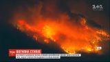 На севере Калифорнии огонь уничтожил четыре тысячи гектаров лесов