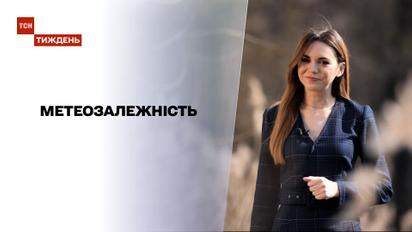Метеозависимость: в какие страны мира вернулась зима и долго ли продержится тепло в Украине