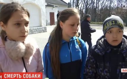 На Львовщине дети обвинили взрослых в убийстве собаки, которого они затащили в школу