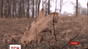 У семей, погибших в АТО украинских воинов, пытаются отсудить землю