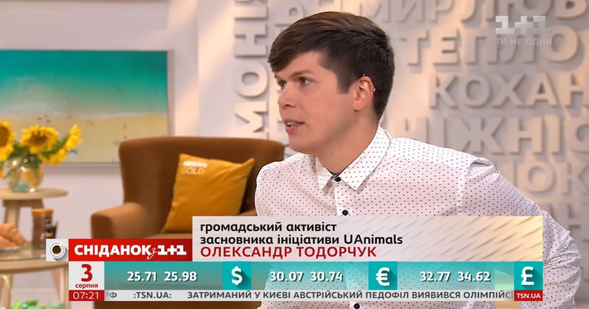 Активист александр тодорчук рассказал о штрафах за жестокое обращение с животными