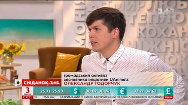Активист Александр Тодорчук рассказал о штрафах за жестокое обращение с животными