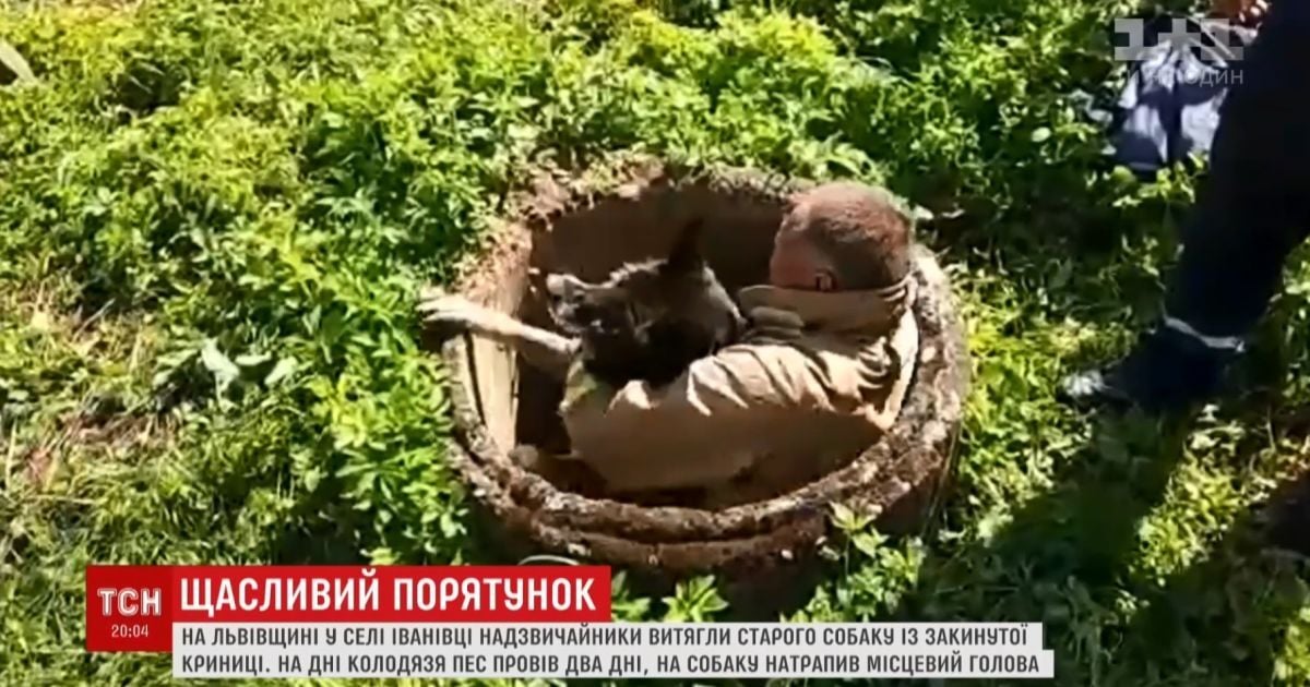 На Львовщине со дна заброшенного колодца подняли собаку
