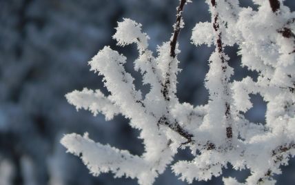 Сильные снегопады и метели: синоптик предупредил о мощном циклоне в Украине