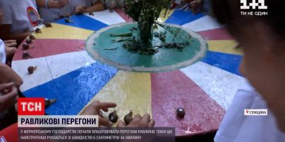 Новости Украины: в фермерском хозяйстве Лебединая ввели популярные улиточные гонки