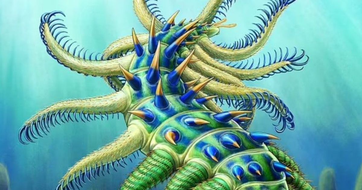 "Іншопланетна" морська істота / Фото: Journal of Systematic Palaeontology