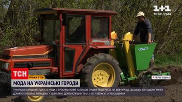 Новини України: тренд чи необхідність – чому українці щовесни обробляють землю і саджають городину