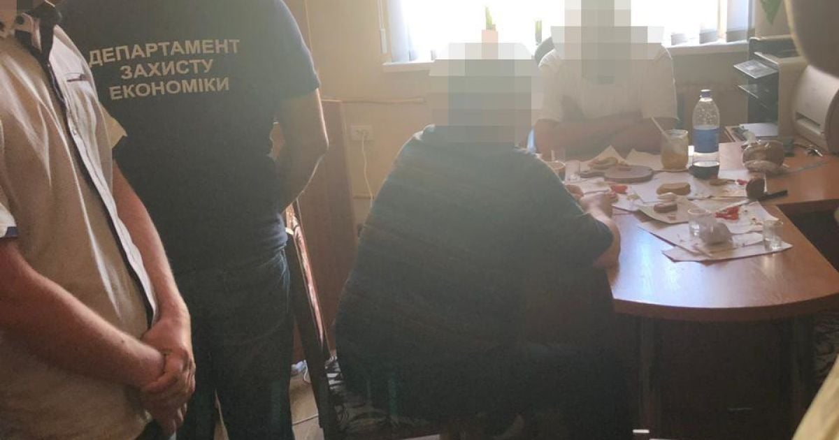 На Житомирщині суддю та слідчого поліції викрили в злочинних зв’язках із бурштинокопачами