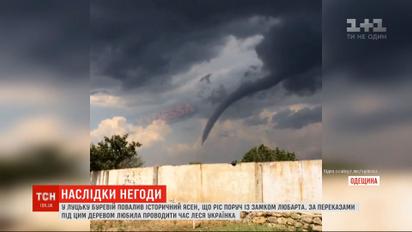 Смерч, повалений 200-річний ясень та зірвані дахи: регіонами України пронеслася чергова негода