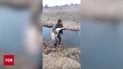 Спасение лебедя: на Волыни в национальном парке "Цуманская пуща" спасли замерзшую птицу