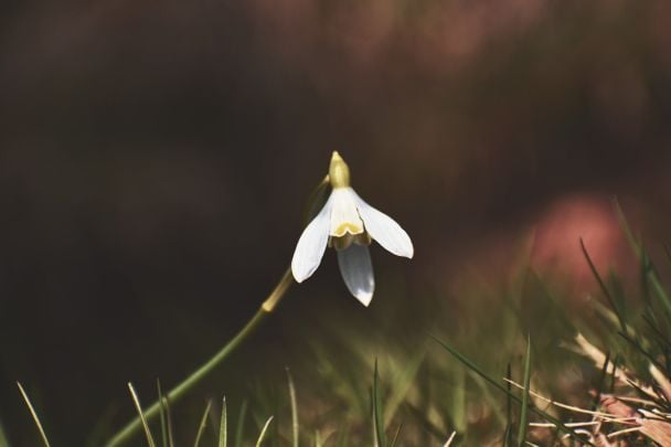 Народные приметы 6 марта / © Pexels