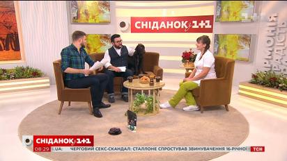 Поради ветеринара: що робити, якщо ваш собака отруївся