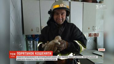 Рятувальники розбили стіну кухні перфоратором, аби дістати кошеня з вентиляційного каналу