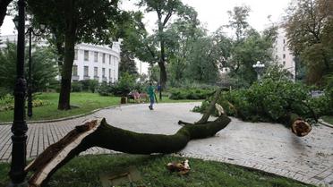 негода у києві_12 / © УНІАН